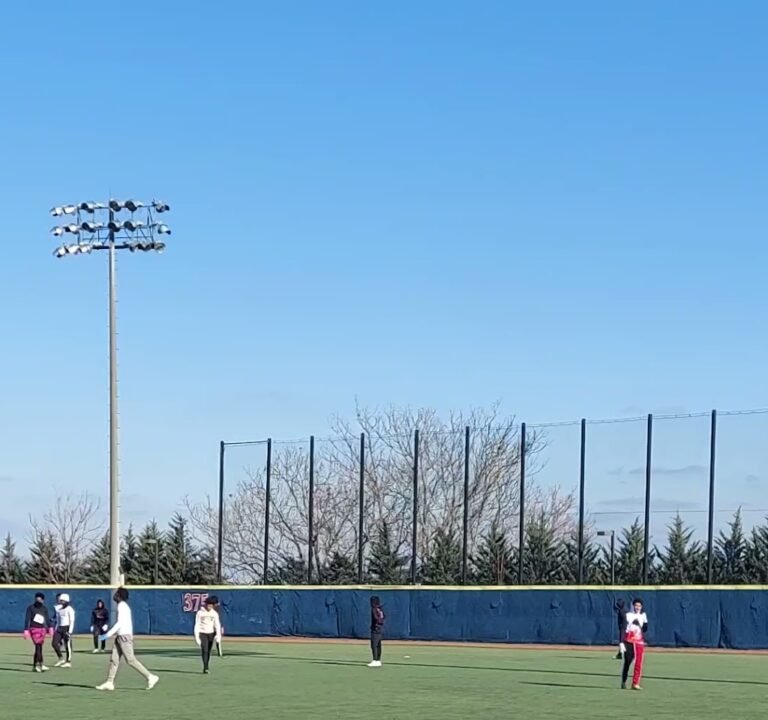 Soccer Field image 3