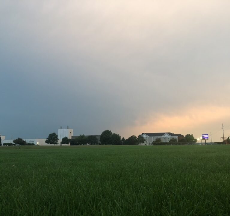 Soccer Field image 3