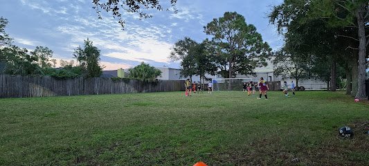 Soccer Field image 1