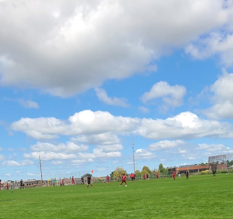 Soccer Field image 2