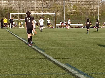 Soccer Field image 1