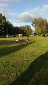 Soccer Field image 1