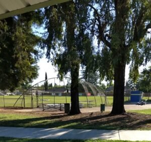 Soccer Field image 4