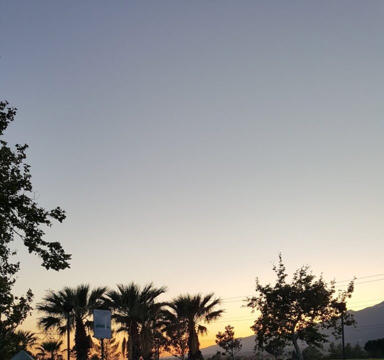 Soccer Field image 3