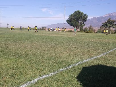 Soccer Field image 1