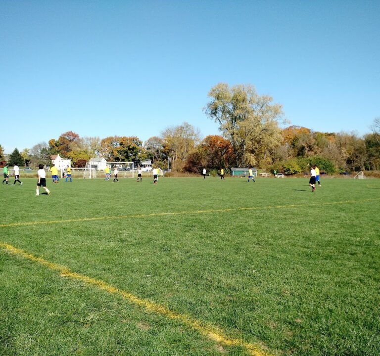 Soccer Field image 2