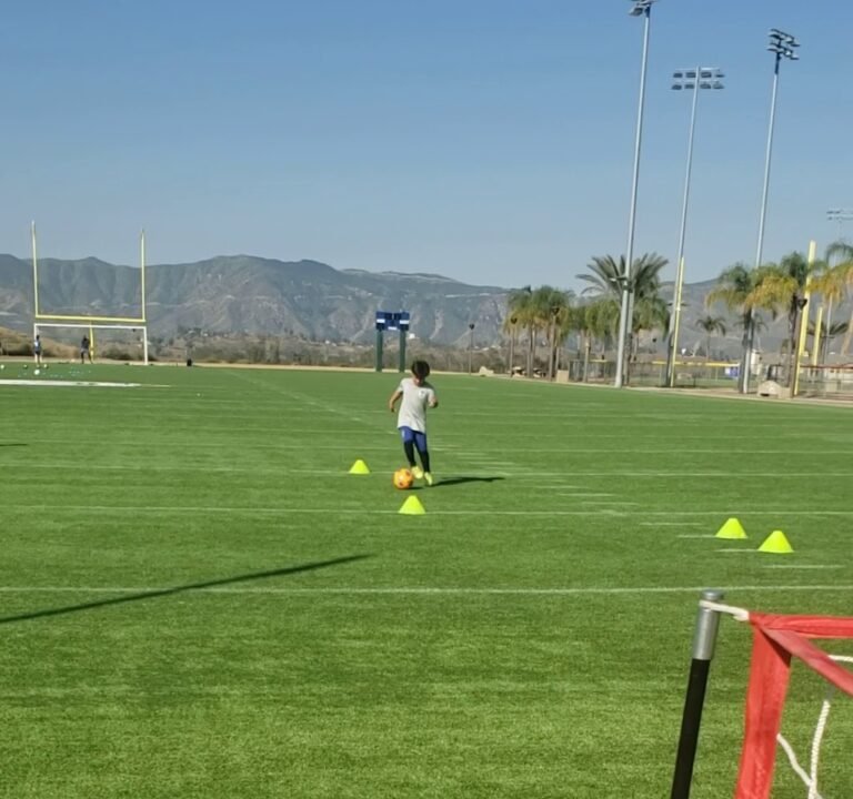 Soccer Field image 4