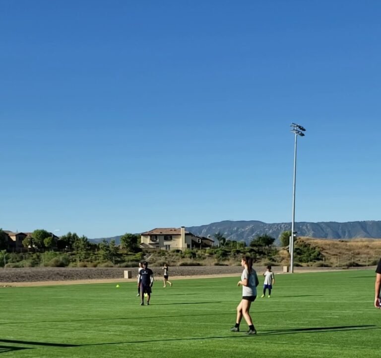 Soccer Field image 2