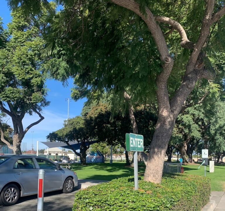 Soccer Field image 2