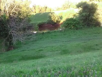 Soccer Field image 1