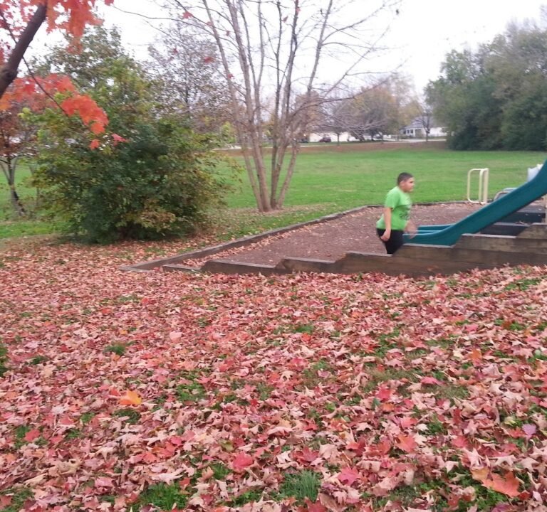 Soccer Field image 3