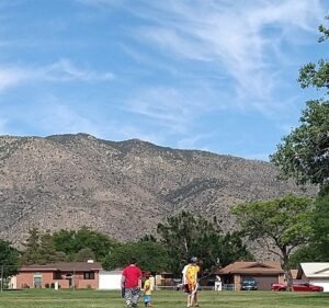 Soccer Field image 2