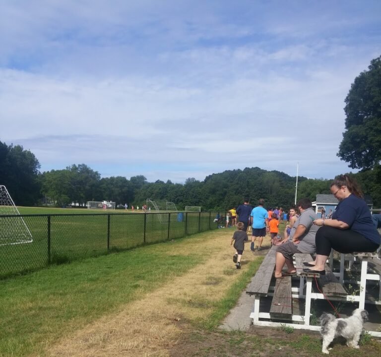 Soccer Field image 2