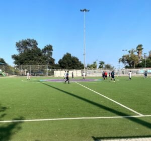 Soccer Field image 2