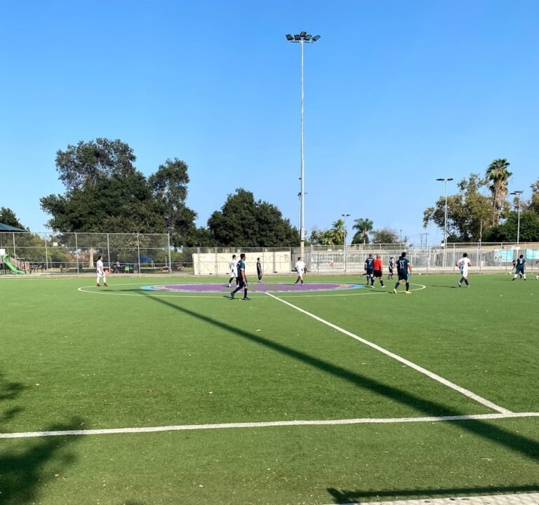 Soccer Field image 2