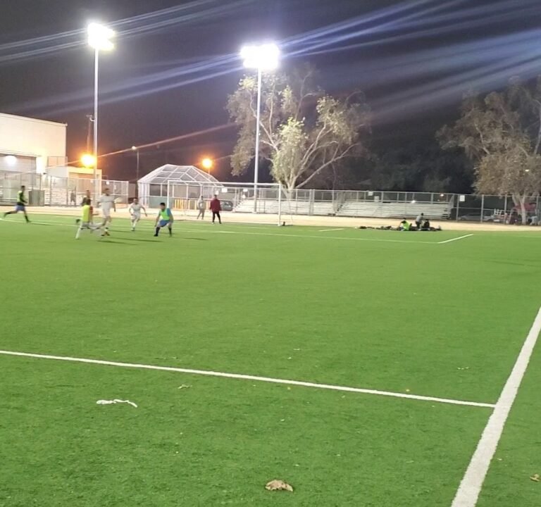 Soccer Field image 4