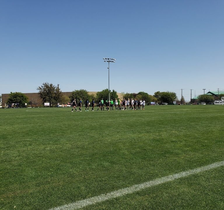 Soccer Field image 2