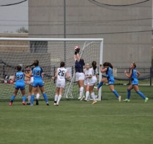 Soccer Field image 3