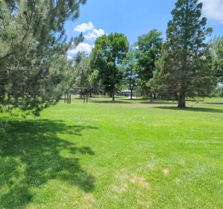 Soccer Field image 4