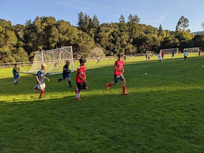 Soccer Field image 1