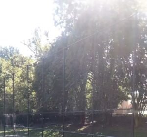 Soccer Field image 1