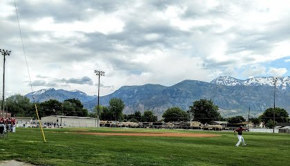 Soccer Field image 1