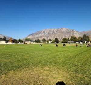 Soccer Field image 2