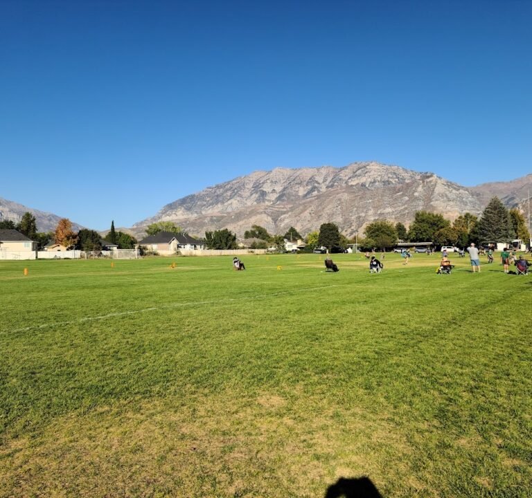 Soccer Field image 2