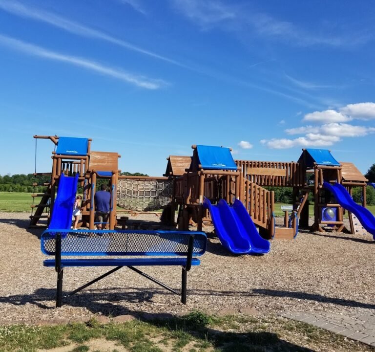 Soccer Field image 2