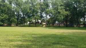 Soccer Field image 1