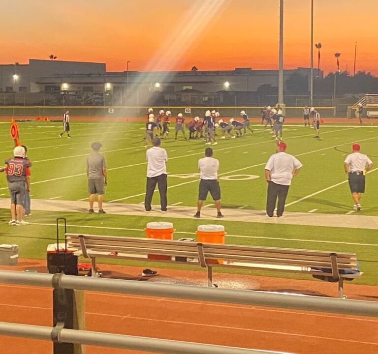 Soccer Field image 2