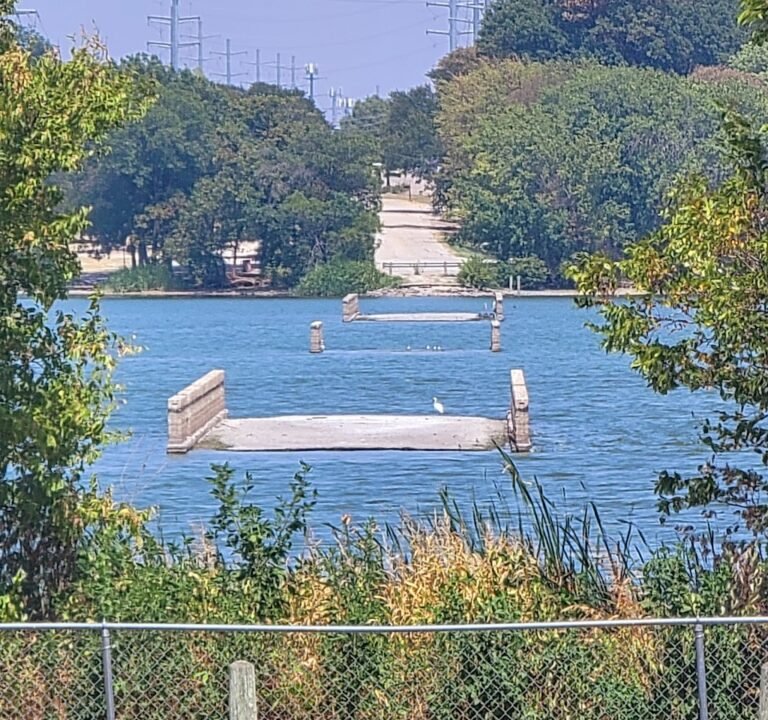 Soccer Field image 2