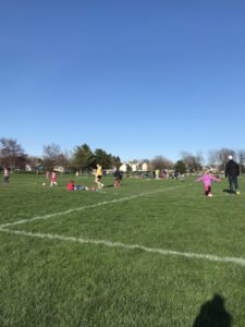 Soccer Field image 1