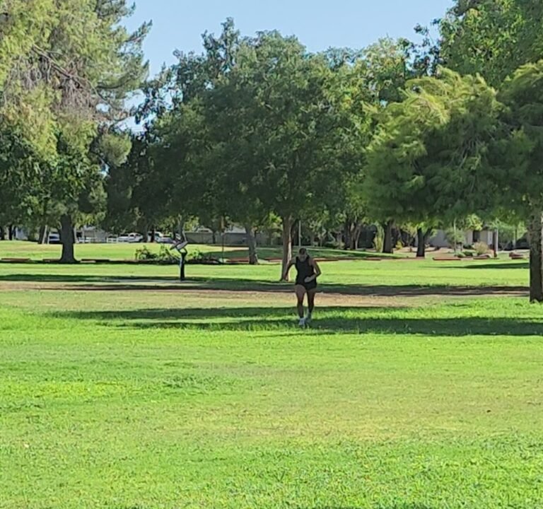 Soccer Field image 4