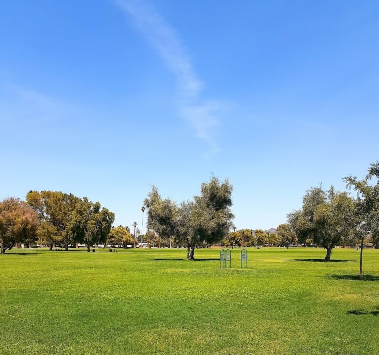 Soccer Field image 2