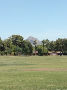 Soccer Field image 1