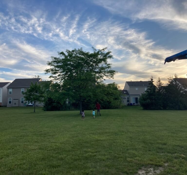 Soccer Field image 2