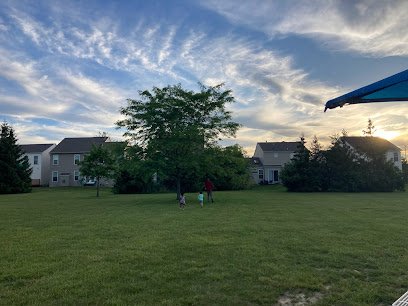Soccer Field image 1