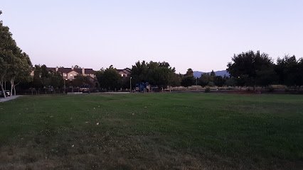 Soccer Field image 1