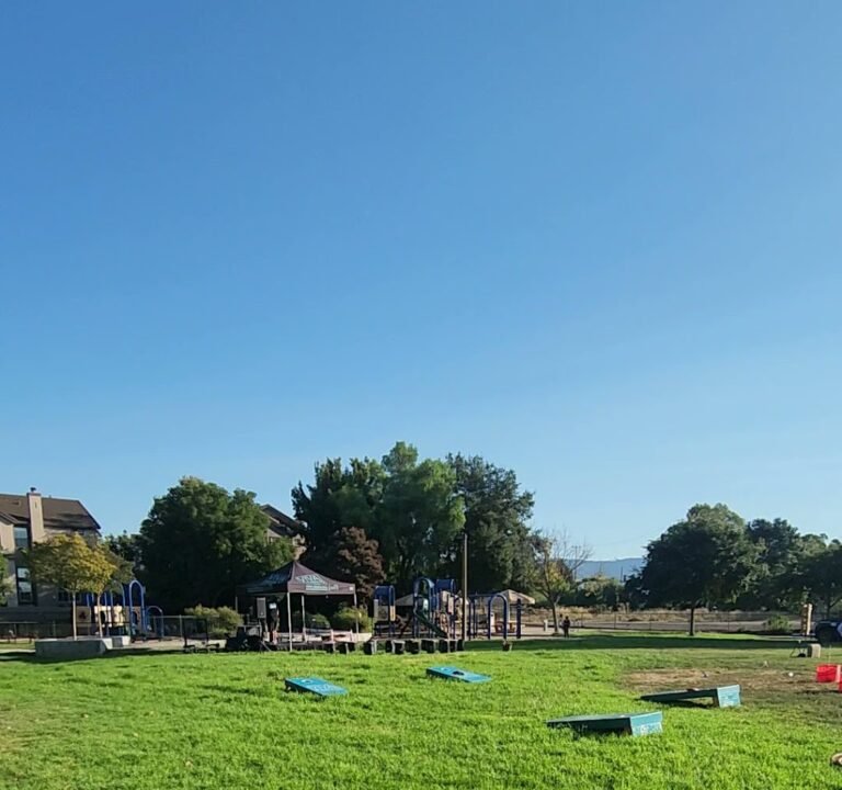 Soccer Field image 4