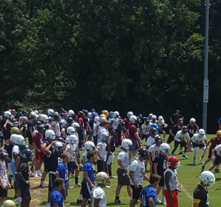 Soccer Field image 2