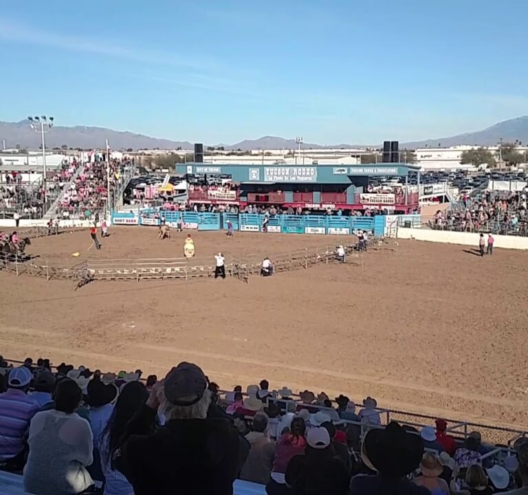 Soccer Field image 4