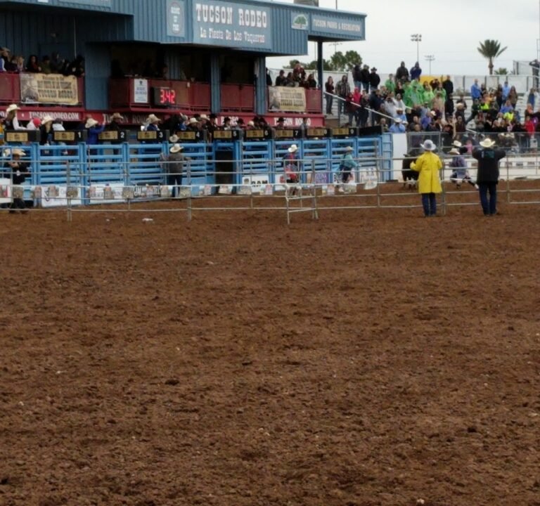 Soccer Field image 2