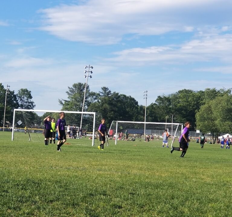 Soccer Field image 2