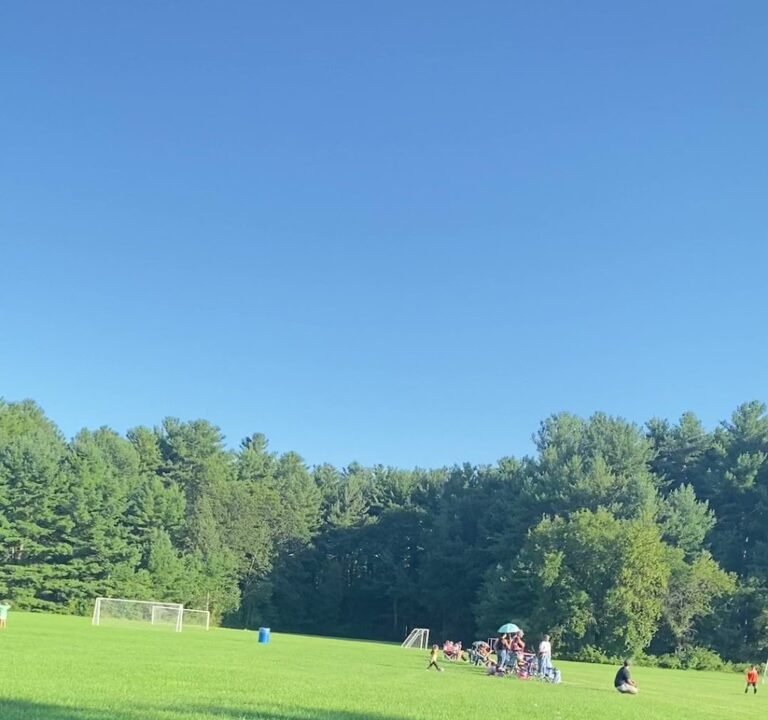 Soccer Field image 3