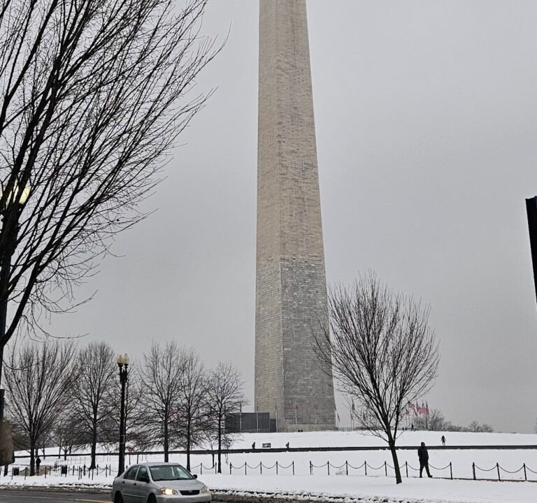 Soccer Field image 3