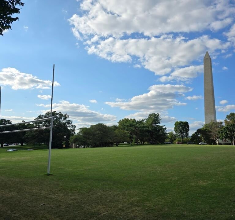 Soccer Field image 2