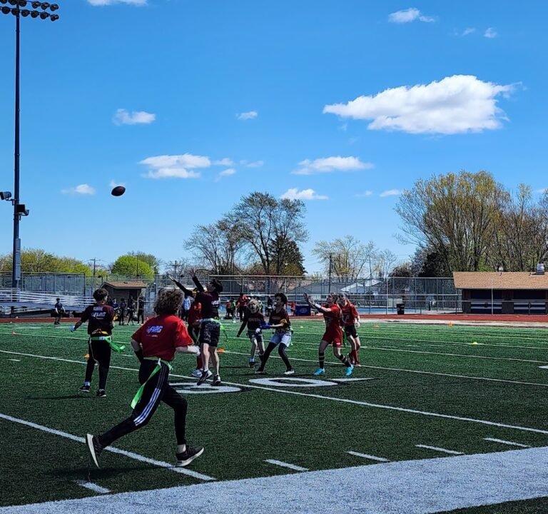 Soccer Field image 2