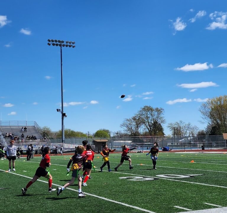 Soccer Field image 3