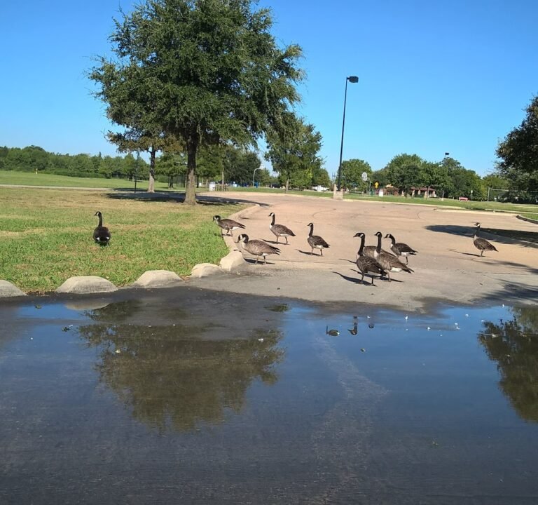 Soccer Field image 2